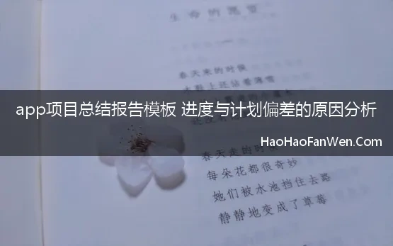 app项目总结报告模板 进度与计划偏差的原因分析 项目计划执行过程中，如何分析进度偏差