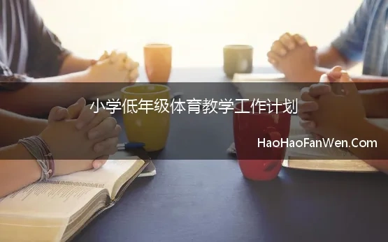 低年级教学计划