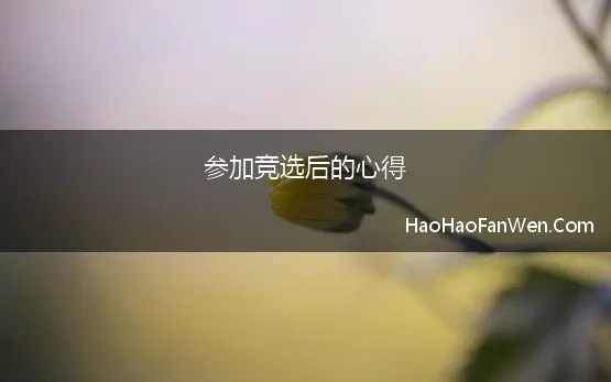 参加竞选后的心得