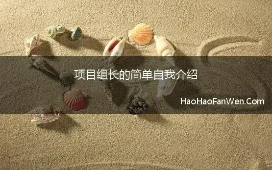 项目组长的简单自我介绍 做了一个月的项目组组长,我明