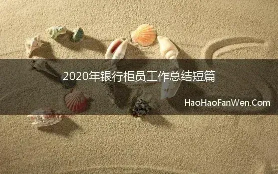 银行现金柜员工作总结2020