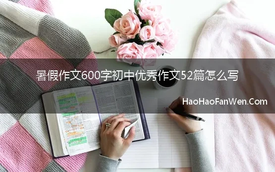 暑假议论文作文600字初中