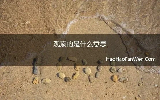 观察的英语表达