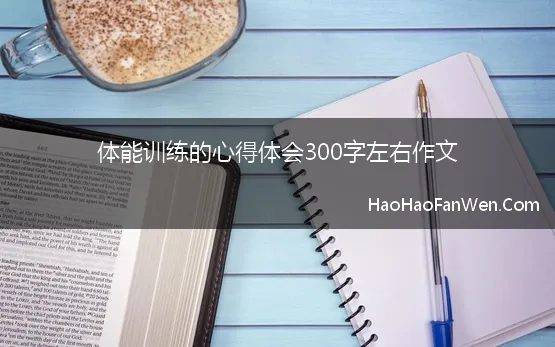 体能训练的心得体会300字左右作文