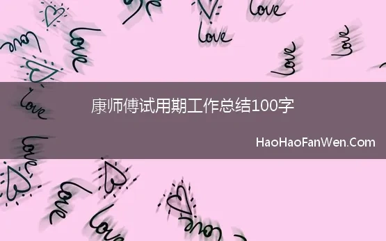 康师傅试用期工作总结100字