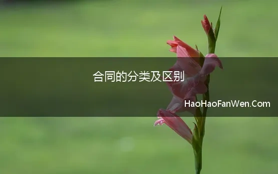 合同的分类及区别 第二章 合同的分类