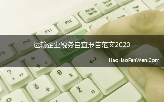 运输企业税务自查报告