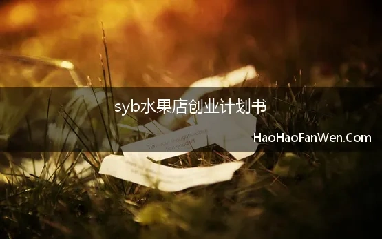 syb水果店创业计划书