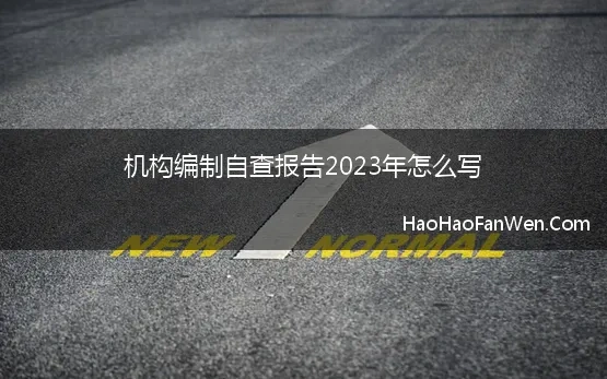 机构编制自查报告2023年怎么写