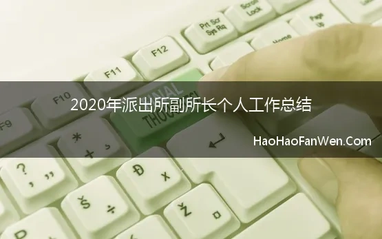 2020年派出所副所长个人工作总结