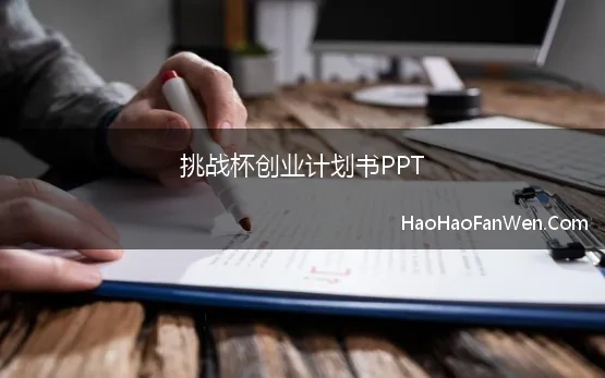 挑战杯创业计划书PPT