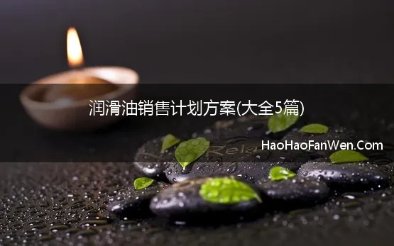 润滑油销售计划