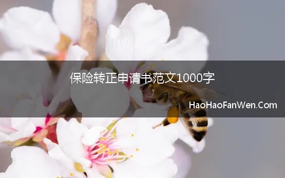 保险转正申请书范文1000字