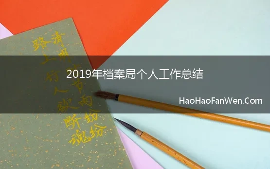 2019年档案局个人工作总结