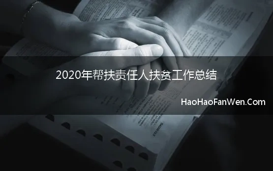 2020年帮扶责任人扶贫工作总结