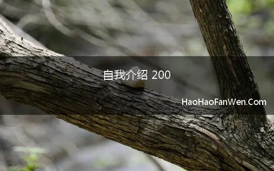 自我介绍 200