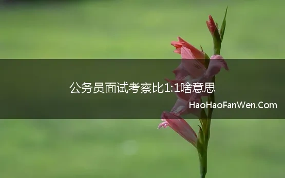 公务员面试考察比1:1啥意思 公务员面试到底是在考察什