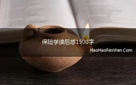 保险学读后感1500字