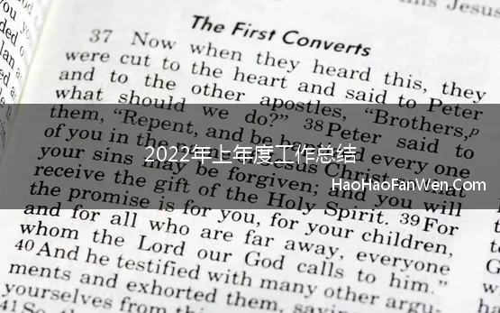 2022年上年度工作总结