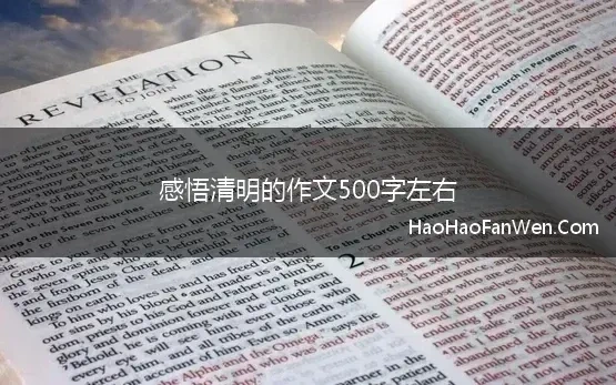 清明感悟500字