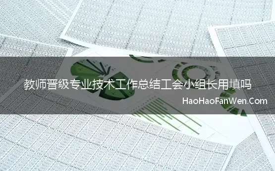 教师晋级专业技术工作总结工会小组长用填吗