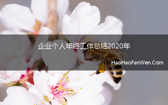 企业个人年终工作总结2020年(2020公司员工个人年终工作总结)