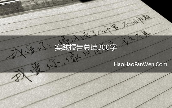 实践报告总结300字