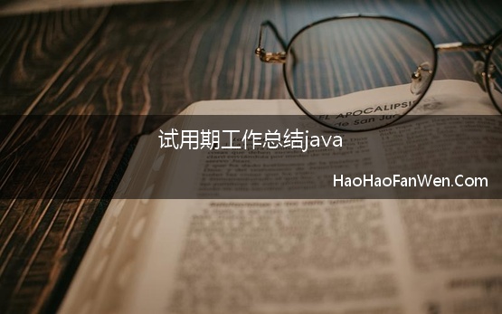 试用期工作总结java