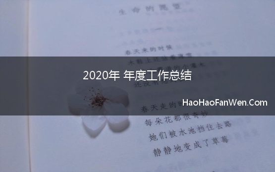 2020年 年度工作总结