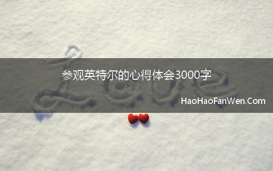 参观英特尔的心得体会3000字