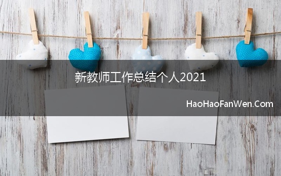 新教师工作总结个人2021