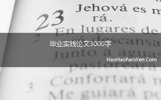 毕业实践论文3000字 毕业实习报告3000字通用版