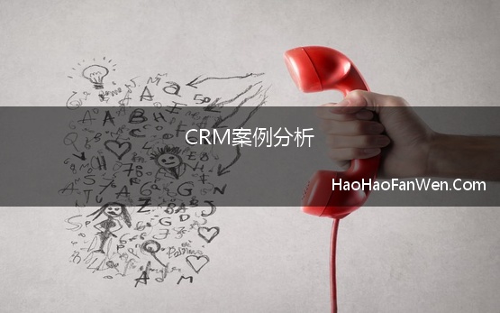 CRM案例分析