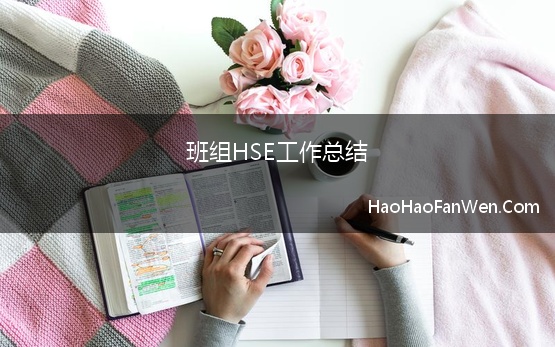 班组HSE工作总结 hse工作总结4篇