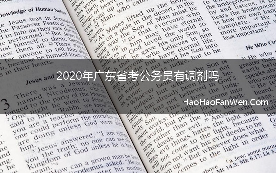 2020年广东省考公务员有调剂吗