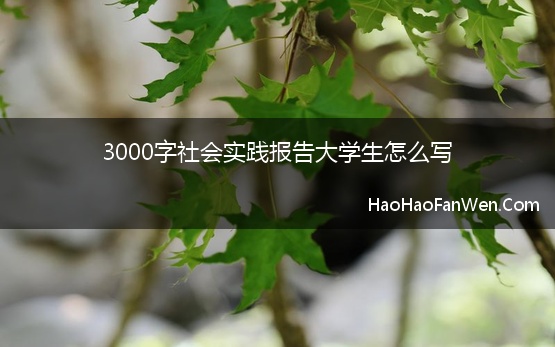 3000字社会实践报告大学生怎么写