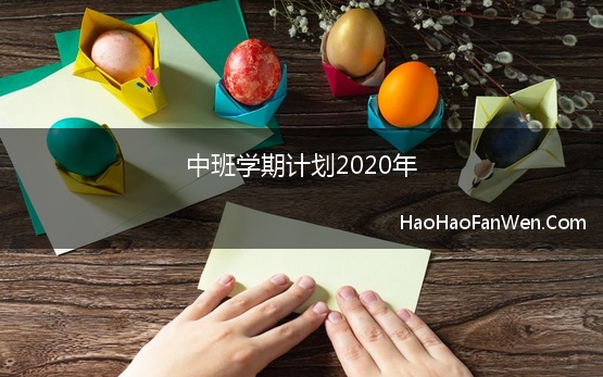 中班学期计划2020年