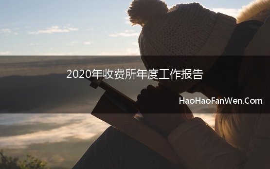 2020年收费所年度工作报告