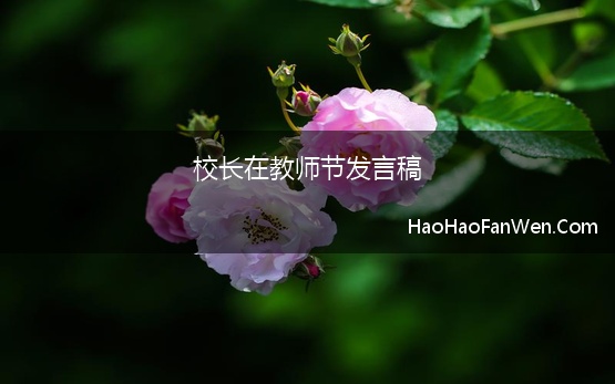 校长在教师节发言稿