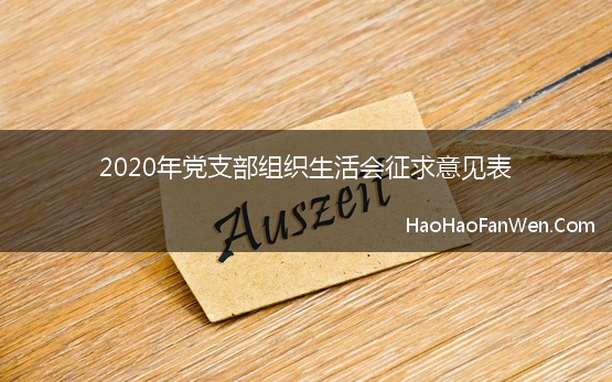 2020年党支部组织生活会征求意见表【精选】