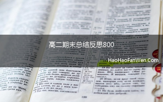 高中总结500字左右