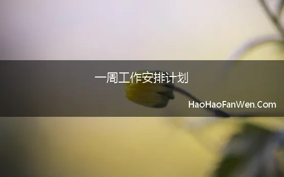 一周工作安排计划