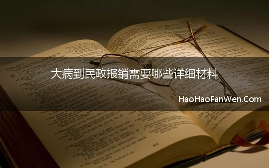 大病到民政报销需要哪些详细材料