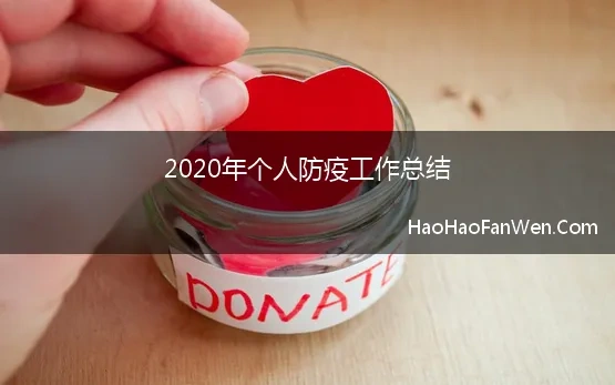 2020年个人防疫工作总结