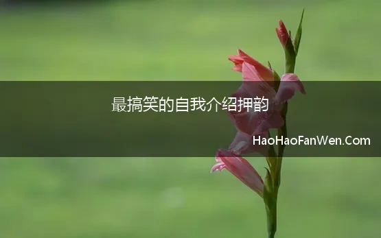 最搞笑的自我介绍押韵