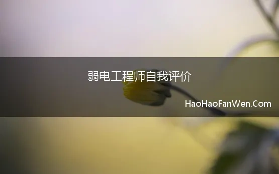 弱电工程师自我评价