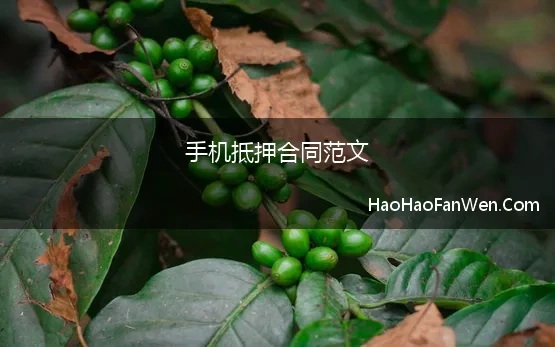 手机抵押合同范文