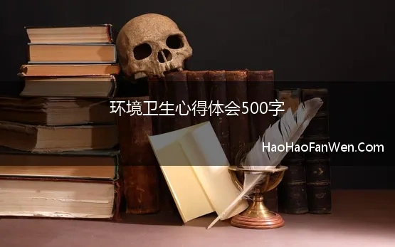 环境卫生心得体会500字