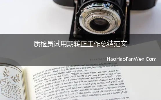 质检员试用期转正工作总结范文(质检员试用期转正工作