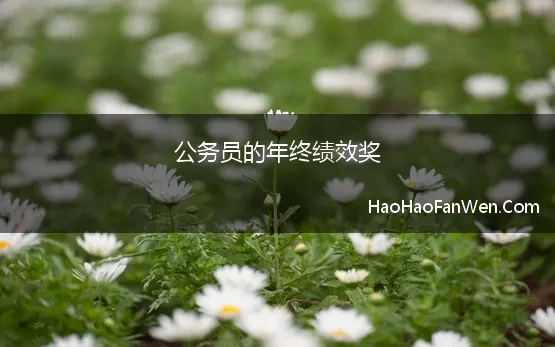 公务员的年终绩效奖 公务员年终奖到底能拿多少